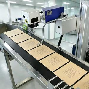 Fully Automatic Paging Convey UV Laser Marking Machine with Separation Feeding Module for Plastic Film <b>Bag</b> Batch Coding - Product Image 5