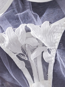 Ensemble de lingerie sexy pour femmes, soutien-gorge et culotte transparents avec broderie florale, très vendus - Product Image 3
