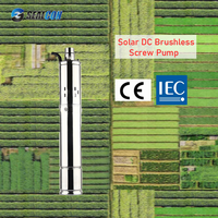 Pompe solaire submersible DC pour puits profonds, alimentée par l'énergie solaire, pompe à eau pour l'agriculture, 0,5 KW/0,67 CV, pompe solaire