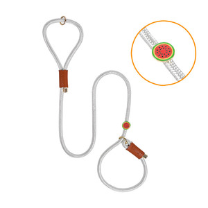 Giá Rẻ Dog Trượt Dây Xích Bán Buôn Cá Nhân Chứng Khoán Nhà Máy Tái Chế Nhỏ Lớn Sang Trọng Bện Nylon Vật Nuôi Dây Dẫn Đi Bộ - Product Image 2