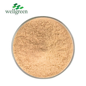 Wellgreen Bubuk Ekstrak Hawthorn Daun Buah Berry Organik, Bubuk Ekstrak Hawthorn Daun Buah Berry Organik - Product Image 1