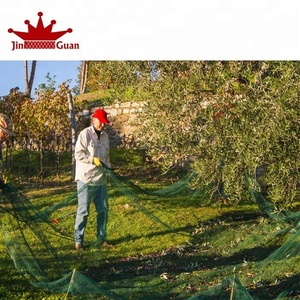 Kumpulkan buah untuk mendukung pertanian, jaringan zaitun, jaringan panen zaitun. - Product Image 5