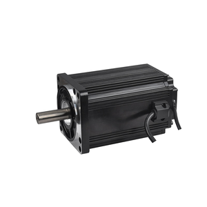 Dt100bl 900W 3000rpm 3.0n. m hiệu suất cao Brushless DC Motor - Product Image 1
