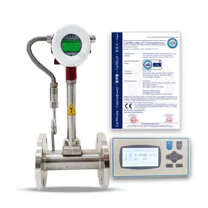 Digitale Precessie Chemische Stroommeter Vloeibaar Gas Stroommeter Vortex Flowmeter