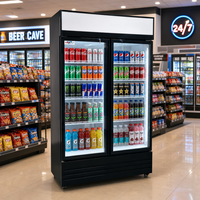 Réfrigérateur commercial vertical à porte vitrée simple, à refroidissement statique, écoénergétique, pour boissons et boissons gazeuses