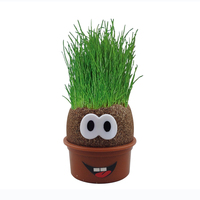 Poupée à tête d'herbe décorative DIY Plante pour enfants Jardin intérieur Balcon Plantation Vase Pot de fleur Jouet Cadeau