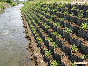 Géocell HDPE léger de 50-400 mm, installation facile, tapis de contrôle de l'érosion pour les pentes et les canaux - Product Image 3