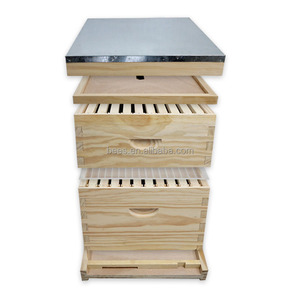 Factory directly supply Beekeeping Hive Pine Wooden Bee Hive Honey Bee Box for Sale langstroth beehives