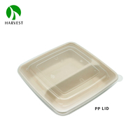 Boîte à lunch en pulpe de canne à sucre Bagasse 8x8 pouces à 2 compartiments avec couvercle