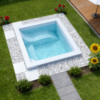Maßgefertigter 2m Fiberglas-Kaltwasserpool Whirlpool für Außenbereich mit Mosaikfliesen 10ft Endlos-Überlauf Eingelassener Schwimm-Spa-Pool