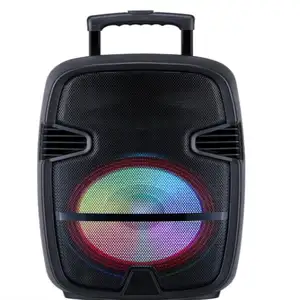 Bir üst satış 2023 karaoke hoparlörü ile kablosuz mikrofon portatif led ışık dans açık müzik kutusu bluetooth hoparlör 12 inç