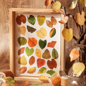 Autocollants créatifs pour plantes, différents champs de plantes à feuilles caduques, manuel de bricolage, autocollants décoratifs, 50 feuilles - Product Image 2