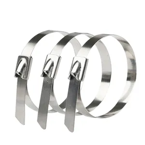 Disposable Self Locking 304 Stainless Steel Cable Ties for cash bank box