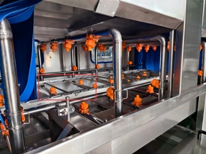 Multifunctional Customized Trash Bin Cleaner Machine <b>Egg</b> Tray Plastic Pallet Clean for Wash for Wholesalers - Product Image 4