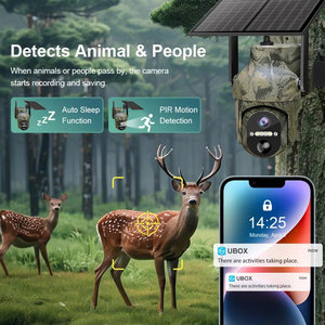 Pil ile güneş kamera hareket aktif 4G takip kamerası ile açık köy yaban hayatı için GÜNEŞ PANELI avcılık kamera monitör - Product Image 3