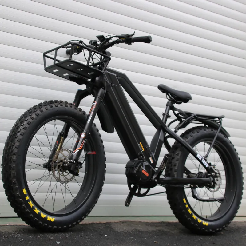 2020 ebike belt drive electric fat bike dual batteries e bikes with Rohloff speed hub 14 speeds