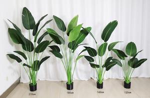 Plantas Artificiales para el Hogar AF7002, Planta de Viajero de Palma, Ave del Paraíso, Bonsái, Ave del Cielo, <span class=keywords><strong>Ravenala</strong></span> Artificial - Product Image 5