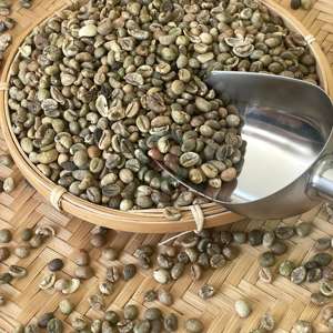 Vietnam Robusta Green Coffee <b>Beans</b> A A Plus 95 To 99% Purity 60kg Jute PP Bulk <b>Bags</b> Non Additional Ingredient - Product Image 6