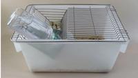 Vente en gros de cage pour souris et rats en PP pour usage en laboratoire Garantie OEM de 1 an pour l'alimentation des souris Fournitures de laboratoire d'élevage