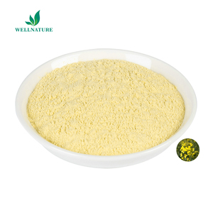Polvere di Fiore di Colza all'Ingrosso 10:1 20:1 Polvere di Brassica Campestris Polvere di Polline d'Api - Product Image 1