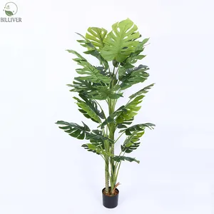 Turtle Backed Plant Voor Thuis Indoor Decoratie Bruiloft Tuin Decoratie Kunstmatige Groene Planten