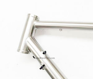 Cuadro de Bicicleta de Titanio 700C OEM en Oferta con Diseño de Acopladores S&S, Transmisión por Correa, Desviador <span class=keywords><strong>Rohloff</strong></span> y Patillas Deslizantes para Ciclismo de Gravel - Product Image 2