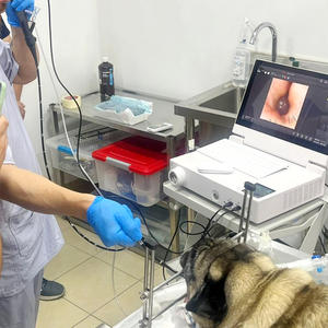 LHWVHP1315オールインワン多機能獣医内視鏡システム屋内屋外シーン獣医内視鏡イメージプロセッサー - Product Image 6