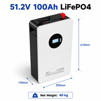 51.2V 100Ah 5.12kWh Baterai Penyimpanan Energi Rumah LiFePO4 Terpasang di Dinding Solar ESS dengan Smart BMS Komunikasi Bluetooth OEM ODM