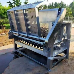<span class=keywords><strong>Prix</strong></span> de la machine <span class=keywords><strong>d</strong></span>'épilation des têtes de porcs, moutons, chèvres et agneaux, fabriquée en Chine - Product Image 6