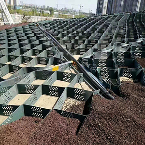 Chất lượng cao HDPE Nhựa công nghiệp lưới cỏ paver cho vườn cảnh quan ngoài trời ing rất nhiề<span class=keywords><strong>u</strong></span> giữ lại tường sử dụng thoát nước tuyệt vời - Product Image 3