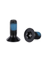 Vis de verrouillage de filetage ISO 14581 DIN 7991 à tête plate, entraînement Torx / Vis à tête hexagonale en nylon noir, boulon à douille CSK