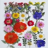 Fleurs de rose séchées pressées naturelles et préservées, faites à la main, légères et écologiques - Décoration DIY pour la Fête des Mères, les mariages et la Saint-Valentin