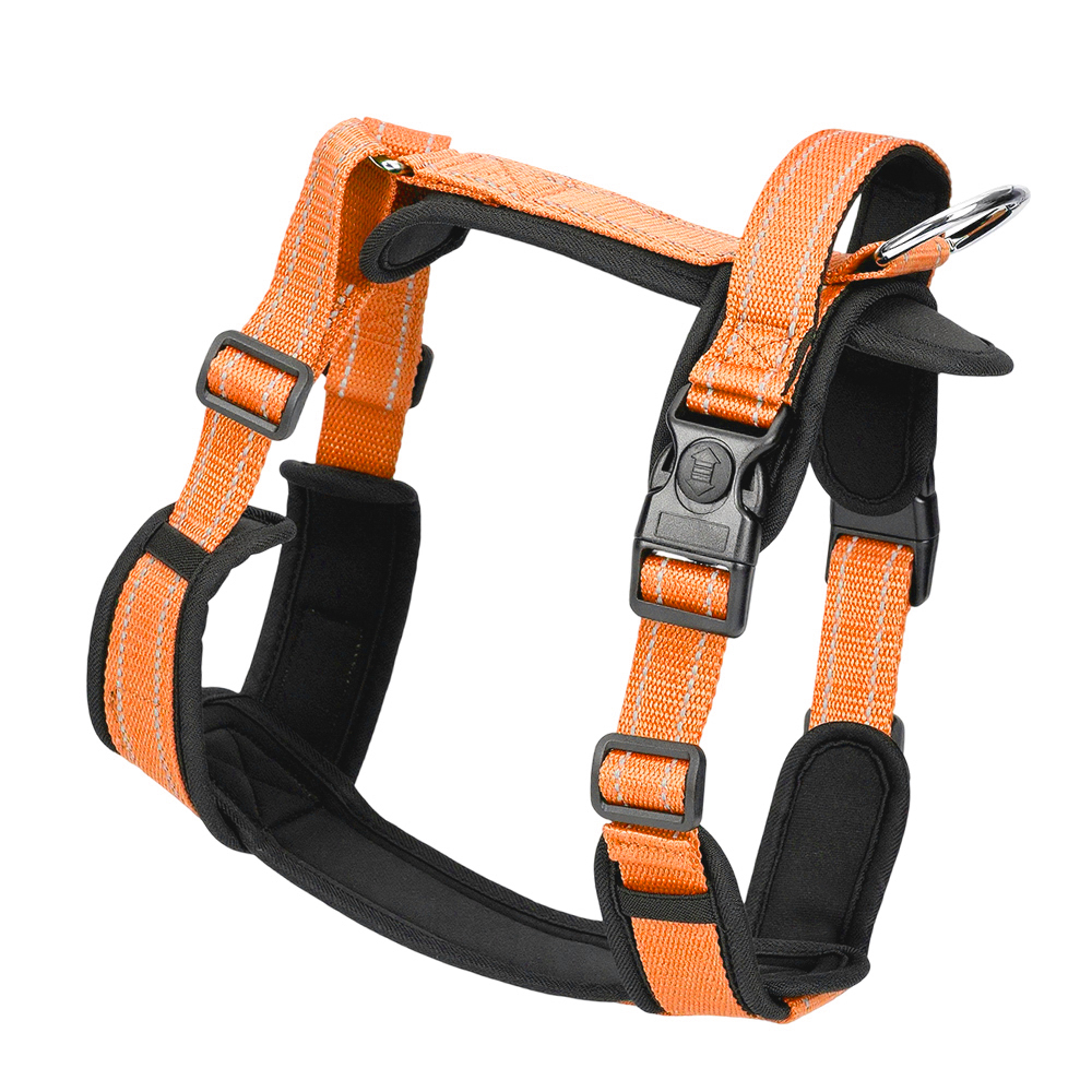 Orange de sécurité