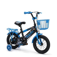 Sepeda Anak Grosir 12 14 16 20 Inch Sepeda Anak-anak Ban Lebar 2.125 Roda Flash Keranjang Depan Logam Pabrik OEM Grosir