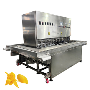 Máquina Peladora de Mango Eléctrica Automática Comercial de Acero Inoxidable Industrial, 3T/H, 16 Posiciones, Componentes Centrales PLC de Alta Gama - Product Image 1