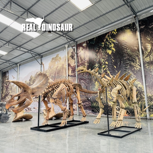 Artisanat fait main, fossiles <span class=keywords><strong>de</strong></span> dinosaures hautement réalistes, <span class=keywords><strong>squelette</strong></span> <span class=keywords><strong>de</strong></span> <span class=keywords><strong>dinosaure</strong></span> pour musée - Product Image 6