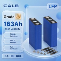 خلية بطارية CALB 163Ah LiFePO4 بجهد 3.2 فولت، درجة A، متطابقة مسبقًا لوحدة دراجة ثلاثية العجلات كهربائية 16S 51.2 فولت 8.3 كيلوواط ساعة 5000cls