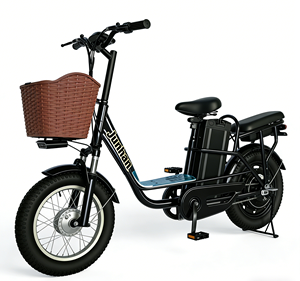 Vélo électrique 48V, moteur sans balais 250W, roues de 16 pouces, freins à disque, batterie au lithium, vélo électrique pour usage urbain - Product Image 4
