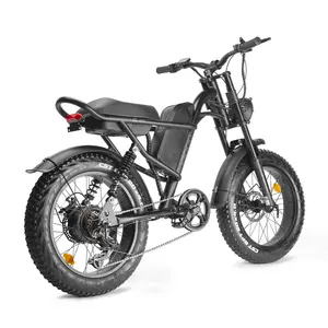 Adult fat tire off road electric bicycle 20 inch tire 500W 48V 15Ah shimano 7 speed EU warehouse ebike