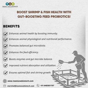 อาหารเสริมโปรไบโอติกสำหรับกุ้งเพื่อส่งเสริมการย่อยอาหาร - Product Image 1