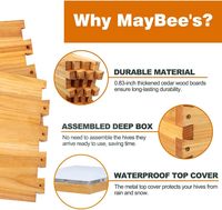 Kit de démarrage pour ruche à 10 cadres, boîtes à abeilles, kit de démarrage comprenant des fournitures d'apiculture, kit d'outils