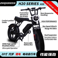 Vélo électrique personnalisé rapide 20 pouces 48V 13Ah avec moteur roue arrière, frein à disque et pneus larges, VTT hybride électrique pour adultes