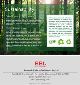 Gradini e alzate per scale BBL antiscivolo 1200*305*30mm per gradini e moquette in legno - Product Image 3