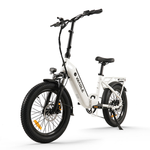Vélo électrique pliant Vakole VT4 250W 20x3.0in avec cadre bas, batterie 468Wh, Shimano 7 vitesses, 120kg, IP54, Vente en gros OEM - Product Image 1