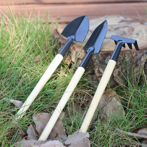 3pcs Mini Garden Tool Set Succulent Planting <b>Kit</b> Hand Trowel Shovel Tools for Indoor Plants and <b>Gardening</b> - Product Image 2