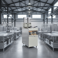 Friteuse Électrique Professionnelle Automatique à Panier Coulissant, Contrôle Numérique, 16,5 kW, 380 V, Grande Capacité 22L+22L