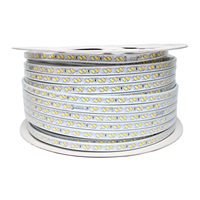 Lámpara de diodo emisor de luz con 220V SMD 5730 120led, luz blanca cálida, azul, roja, verde, azul, morada