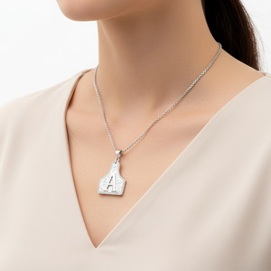 Collier en acier inoxydable 316L style cowboy avec lettres de A à Z, collier initial en acier inoxydable argenté pour femme, tendance - Product Image 4