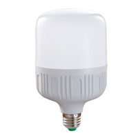 Ampoule LED en forme de T 110V 220V 5W 10W 15W 20W 30W 40W 50W 60W B22 E27, Lumière LED, Ampoule LED en gros