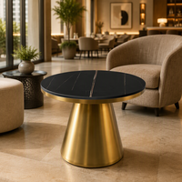 Table basse ronde de luxe en acier inoxydable doré titane, mobilier moderne pour salon